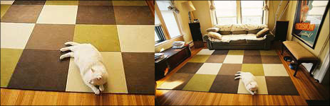 Carpet---carpet tiles, plain carpet, rugs